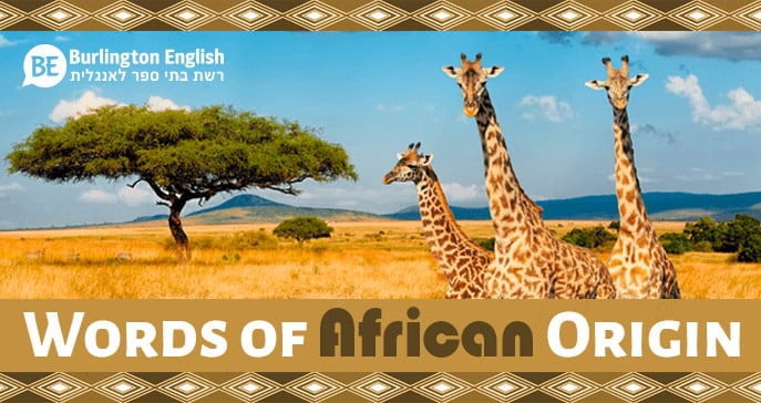 נחשו איזה מילים בשפה האנגלית הגיעו מאפריקה!